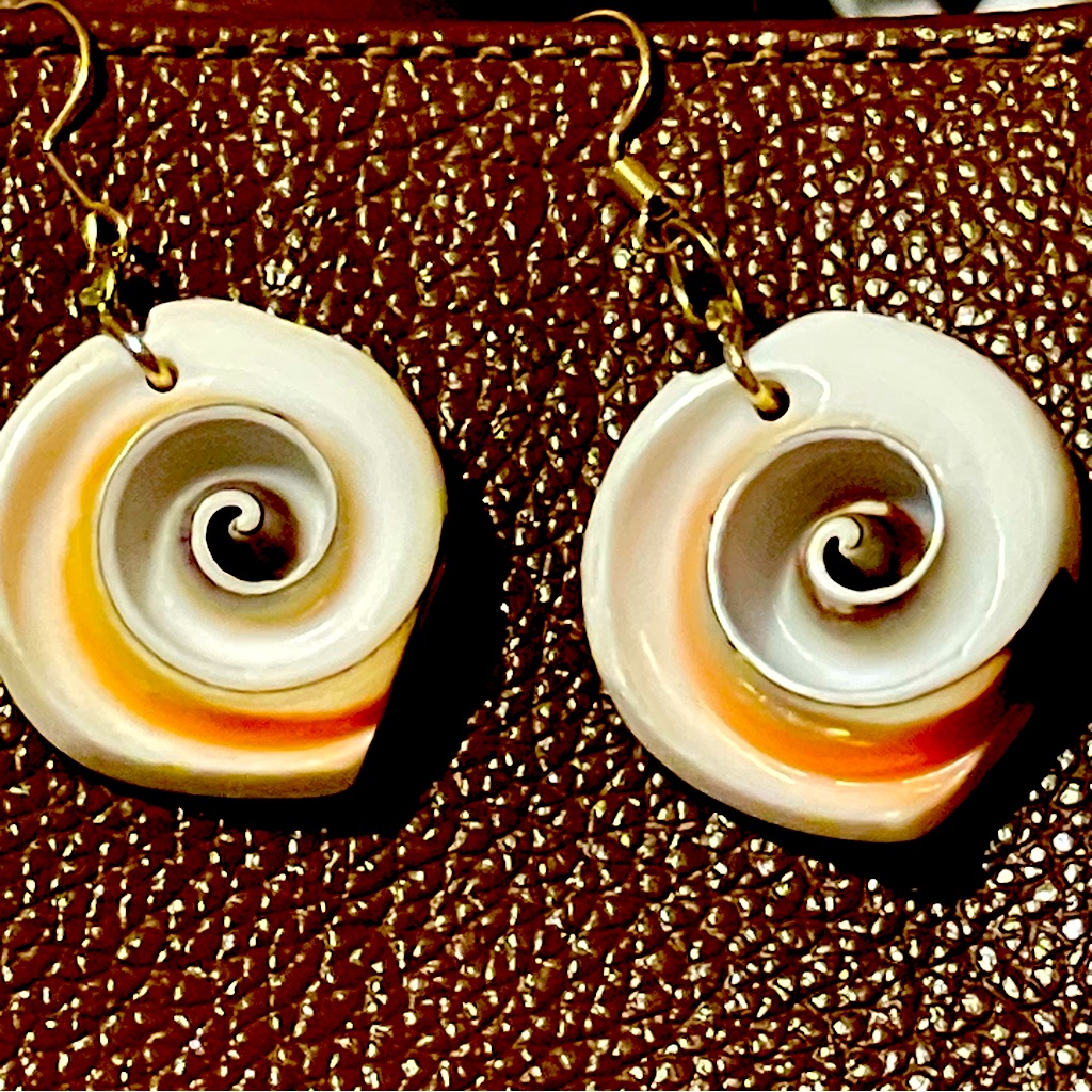 Whale Eye Sea Shell 25$